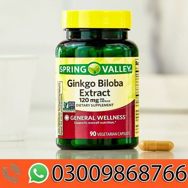 Spring Valley Ginkgo Biloba Extract In Pakistan